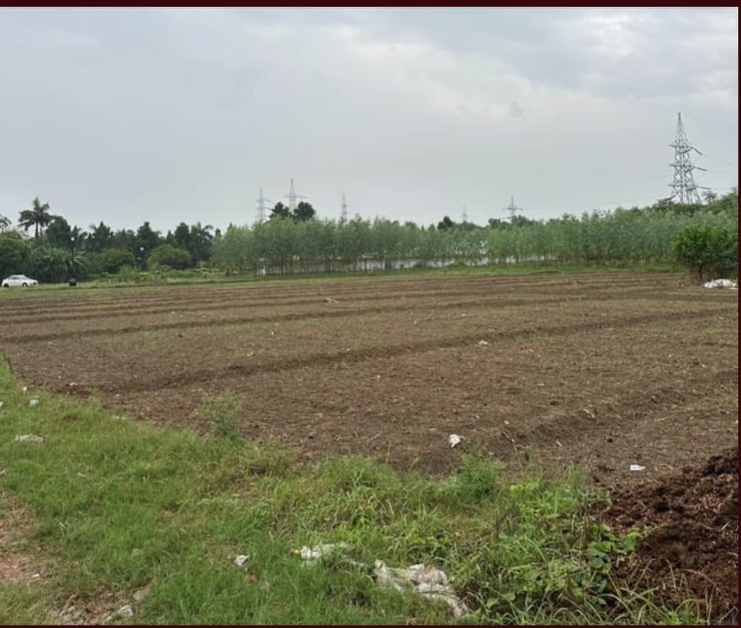 1769339794_WhatsApp Image 2026-01-25 at 14.06.00.jpeg